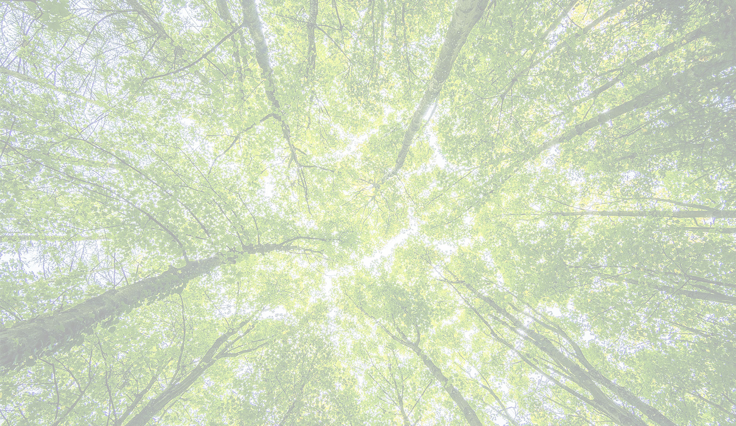 Unsplashed background img 3